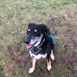 Meet your Posher, Ak